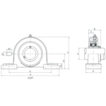 Підшипник SY20TF (SKF)